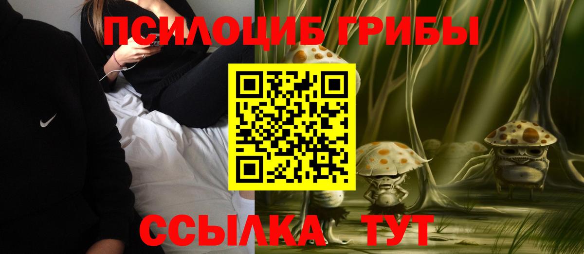 Псилоцибиновые грибы мухоморы  Вход с VPN  Медногорск 